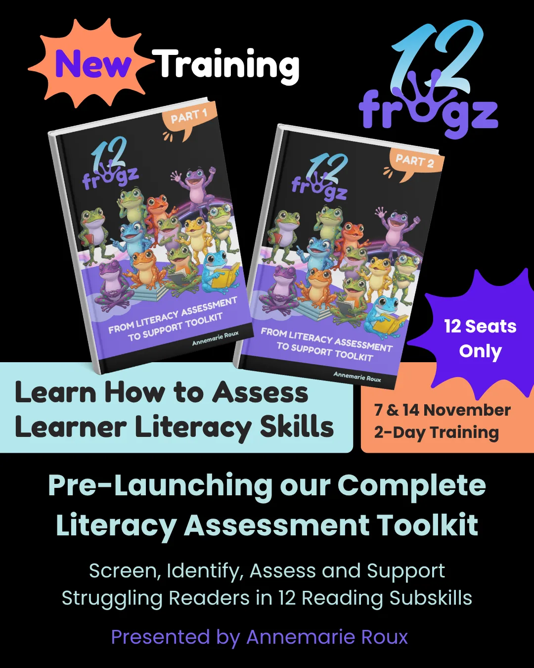 12 Frogz: From Literacy Assessment to Support Toolkit, the two printed guides by Annemarie Roux