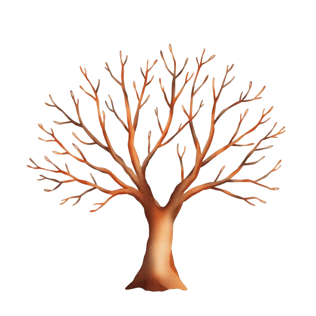 The Branches